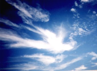 Angel Over Officemax