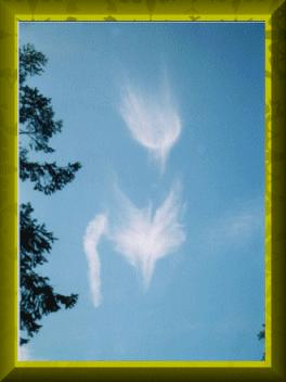 Actual Photo of Angels as appearing to Marianne