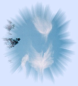 Actual Photo of Angels as appearing to Marianne